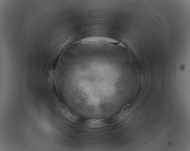 X0000090430093200708031140