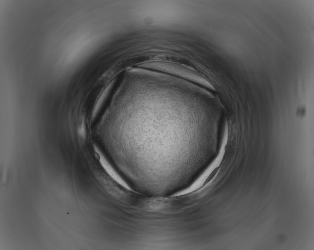 X0000090430094200708031140