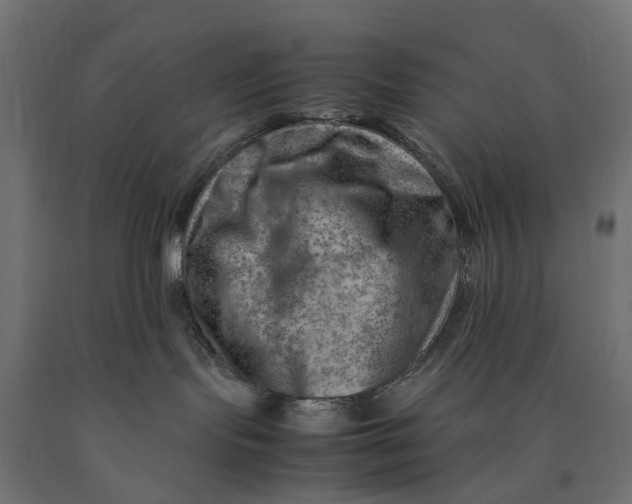 X0000090430095200708031140