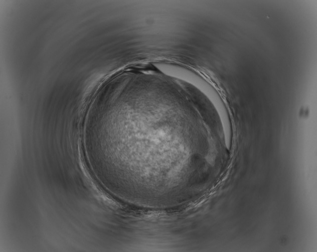 X0000090430097200708031139