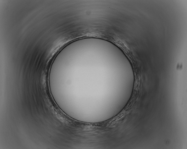 X0000090430098200708031139