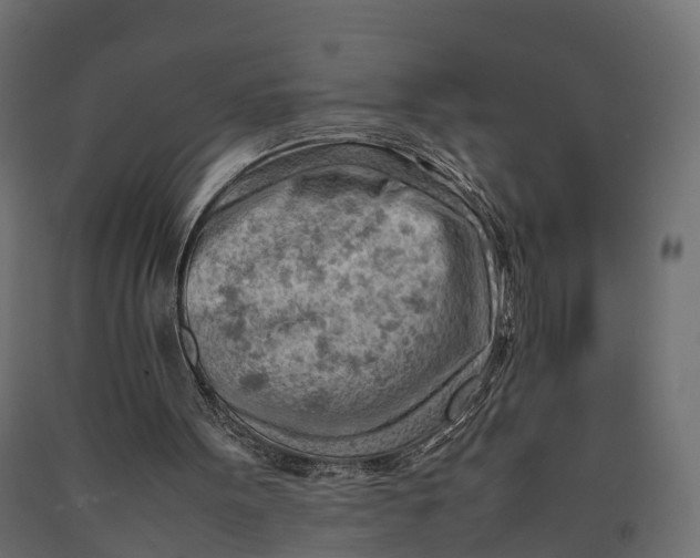 X0000090430099200708031139