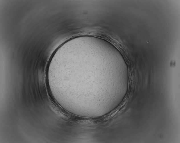 X0000090430100200708031139