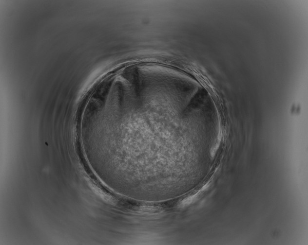X0000090430101200708031139