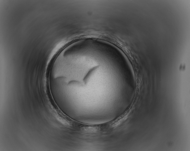 X0000090430102200708031139