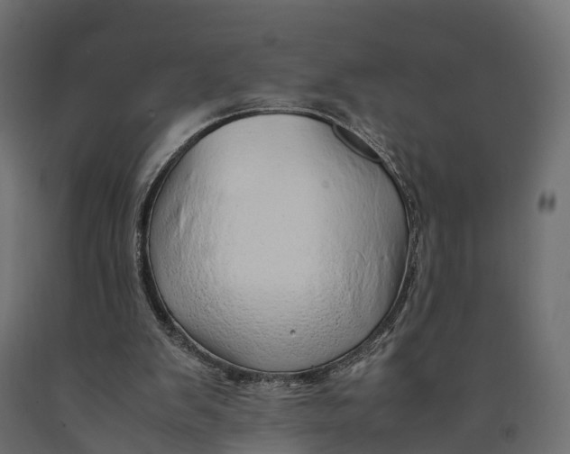 X0000090430103200708031139