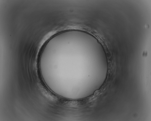 X0000090430104200708031139
