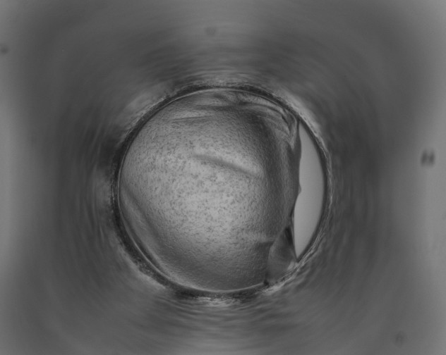 X0000090430105200708031139