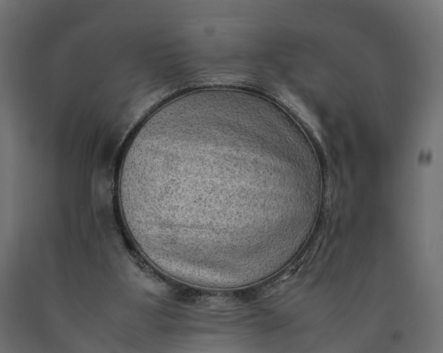 X0000090430107200708031139