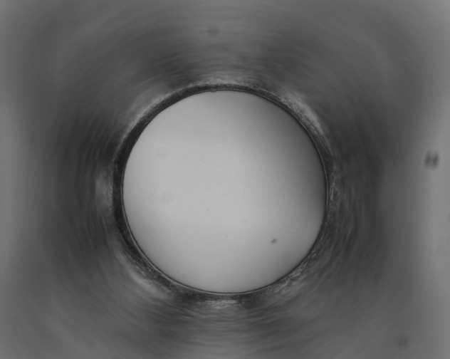 X0000090430108200708031139