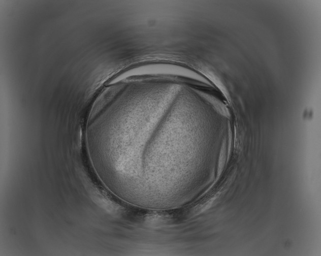 X0000090430109200708031139