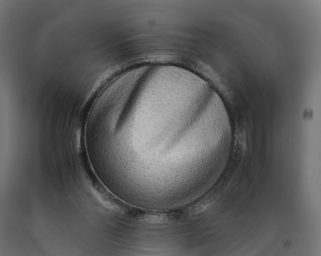 X0000090430110200708031139