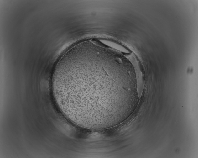 X0000090430111200708031139