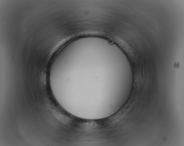 X0000090430112200708031139