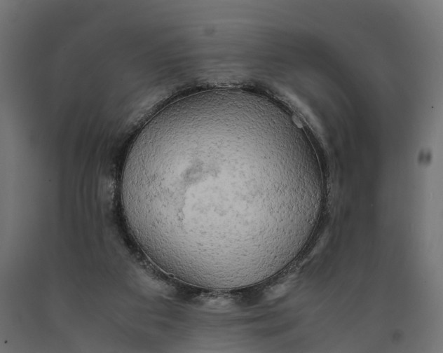 X0000090430113200708031139