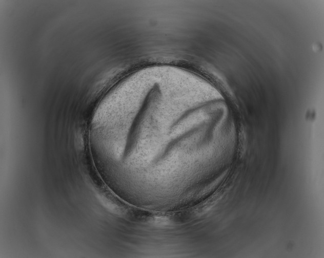 X0000090430114200708031139