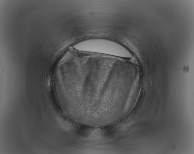 X0000090430115200708031139