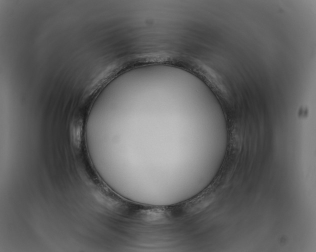 X0000090430118200708031139