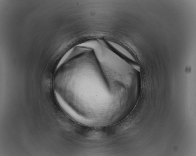 X0000090430119200708031139