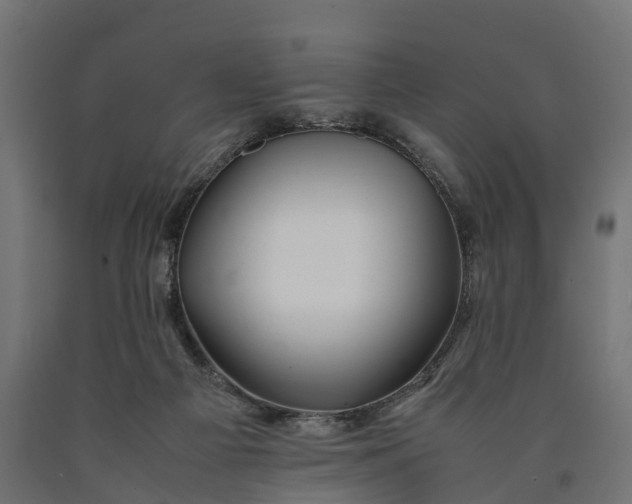 X0000090430121200708031139