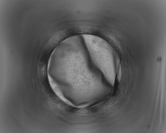 X0000090430123200708031139
