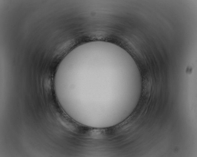 X0000090430126200708031138