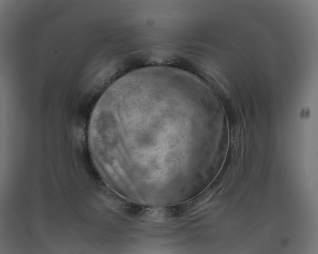 X0000090430127200708031138