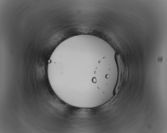 X0000090430128200708031138