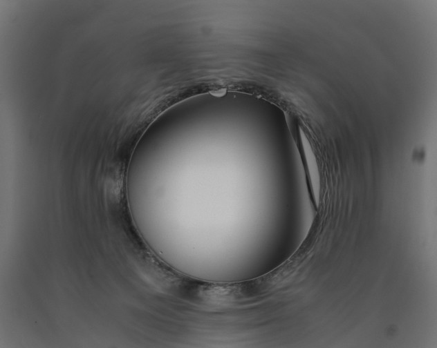 X0000090430129200708031138