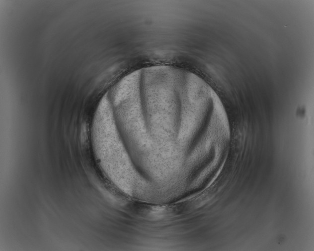 X0000090430130200708031138