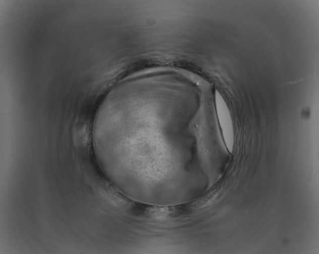 X0000090430131200708031138