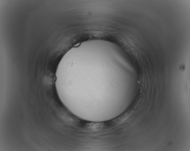 X0000090430135200708031138