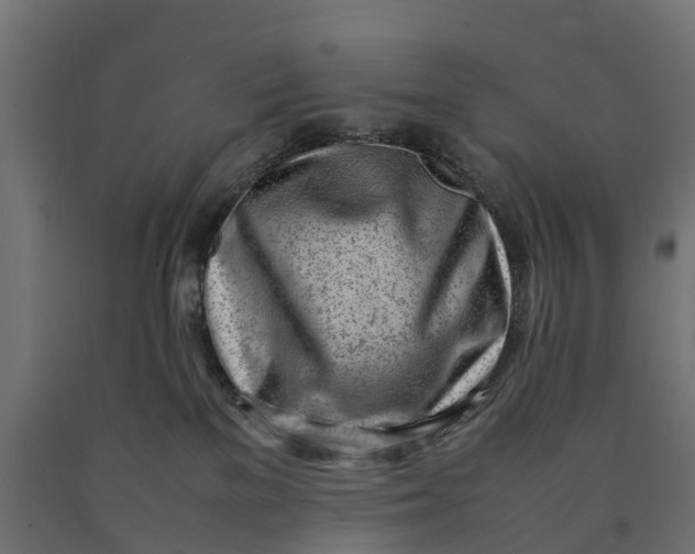 X0000090430137200708031138