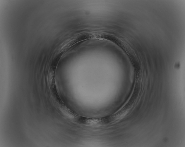 X0000090430139200708031138