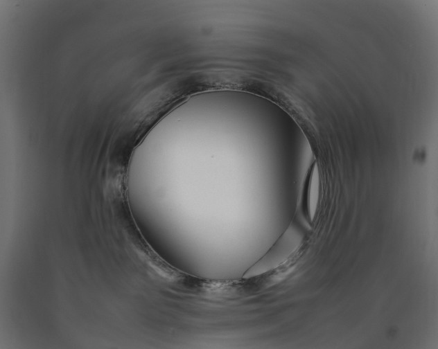 X0000090430141200708031138