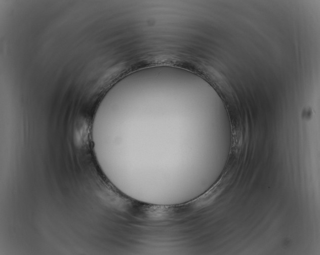 X0000090430142200708031138