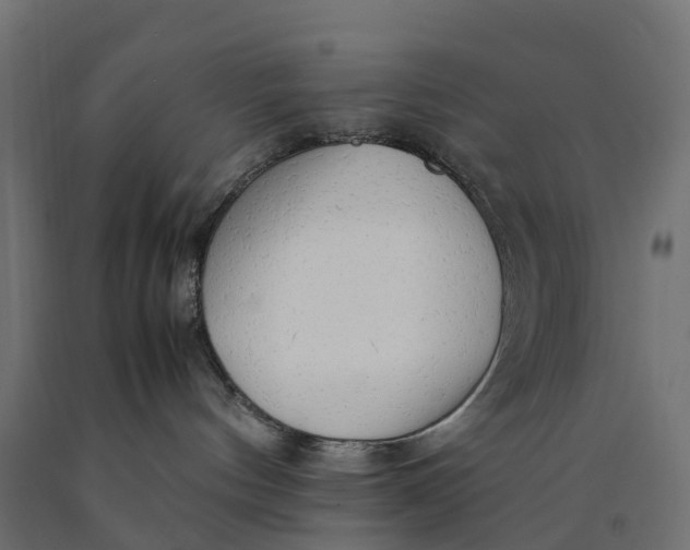 X0000090430144200708031138