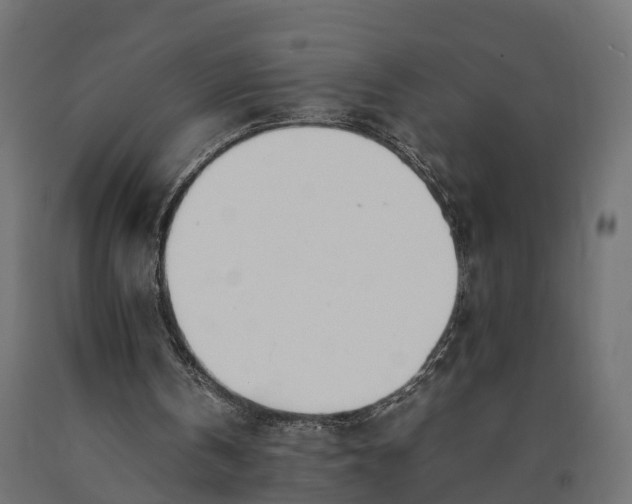 X0000090430146200708031137