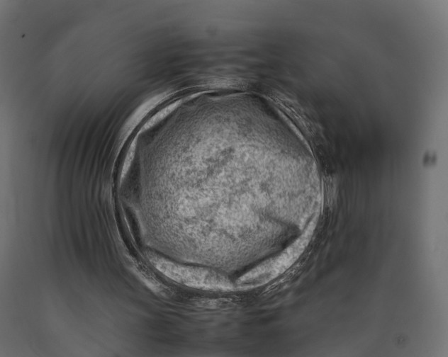 X0000090430147200708031137