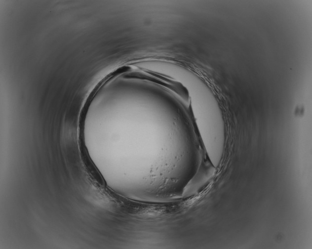 X0000090430148200708031137