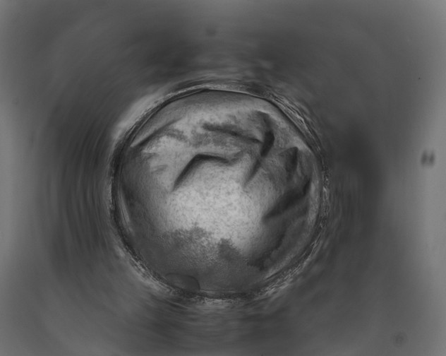 X0000090430149200708031137