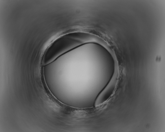 X0000090430150200708031137