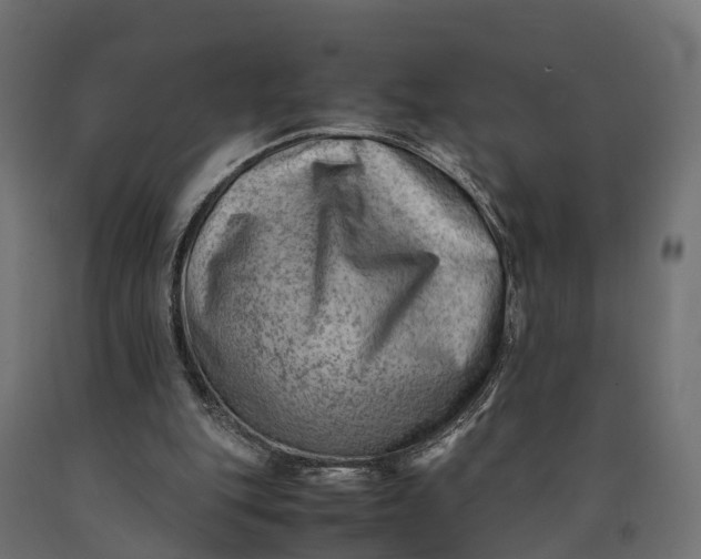 X0000090430151200708031137