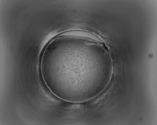 X0000090430152200708031138