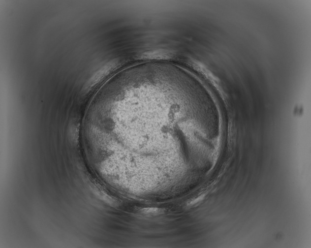 X0000090430153200708031138