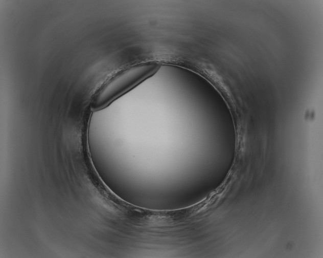 X0000090430154200708031138