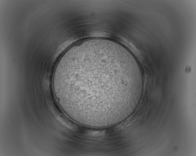 X0000090430155200708031138