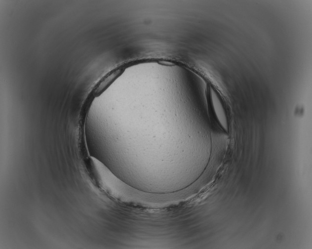 X0000090430156200708031138