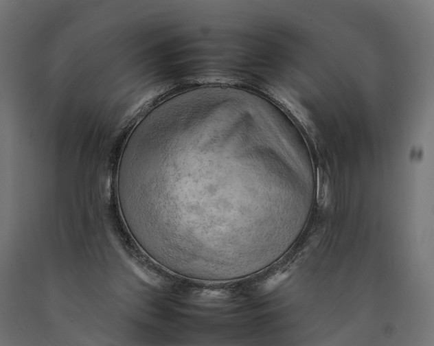 X0000090430157200708031138