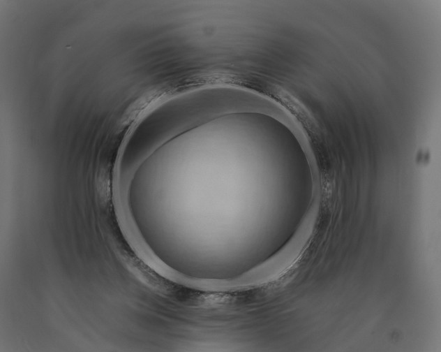 X0000090430158200708031138